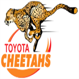 Cheetahs