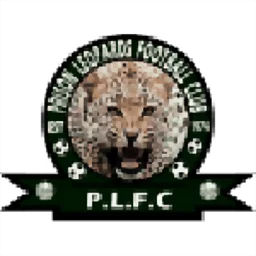 Prison Leopards