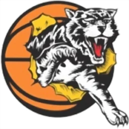 Willetton Tigers