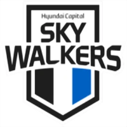 Hyundai Skywalkers